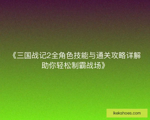 《三国战记2全角色技能与通关攻略详解助你轻松制霸战场》